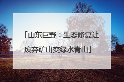 山东巨野：生态修复让废弃矿山变绿水青山
