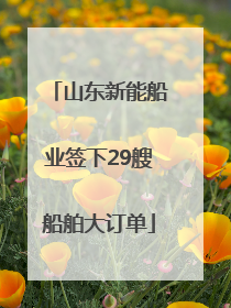 山东新能船业签下29艘船舶大订单