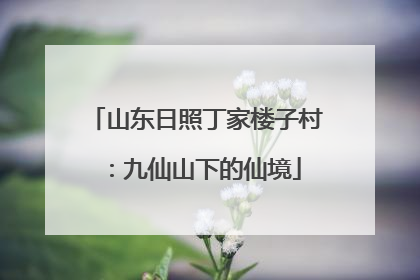 山东日照丁家楼子村：九仙山下的仙境