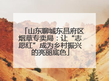 山东聊城东昌府区烟草专卖局：让“志愿红”成为乡村振兴的亮丽底色