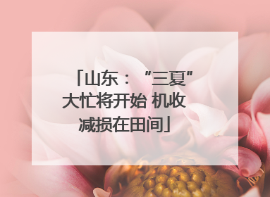 山东：“三夏”大忙将开始 机收减损在田间