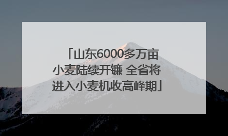 山东6000多万亩小麦陆续开镰 全省将进入小麦机收高峰期