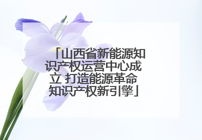 山西省新能源知识产权运营中心成立 打造能源革命知识产权新引擎