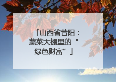 山西省昔阳：蔬菜大棚里的“绿色财富”