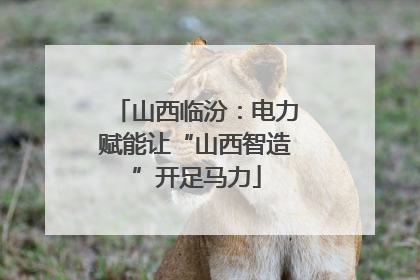 山西临汾：电力赋能让“山西智造”开足马力