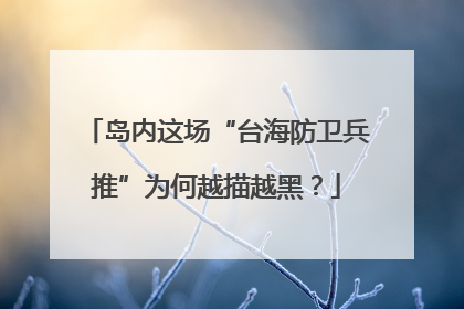 岛内这场“台海防卫兵推”为何越描越黑？