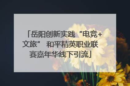 岳阳创新实践“电竞+文旅” 和平精英职业联赛嘉年华线下引流