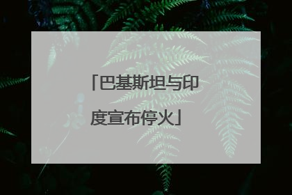 巴基斯坦与印度宣布停火