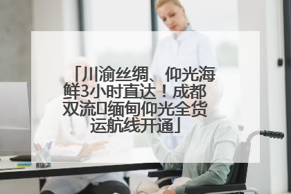 川渝丝绸、仰光海鲜3小时直达！成都双流⇌缅甸仰光全货运航线开通