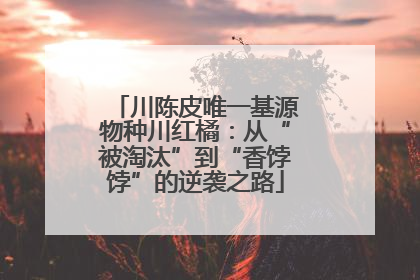 川陈皮唯一基源物种川红橘：从“被淘汰”到“香饽饽”的逆袭之路
