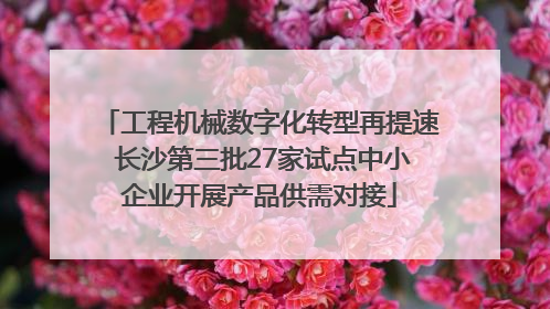 工程机械数字化转型再提速 长沙第三批27家试点中小企业开展产品供需对接