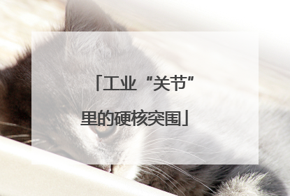 工业“关节”里的硬核突围