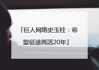 巨人网络史玉柱：希望征途再活20年