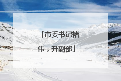 市委书记褚伟，升副部