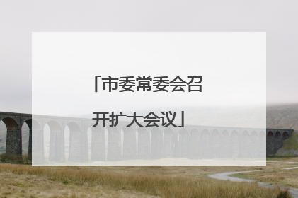 市委常委会召开扩大会议