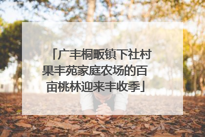 广丰桐畈镇下社村果丰苑家庭农场的百亩桃林迎来丰收季