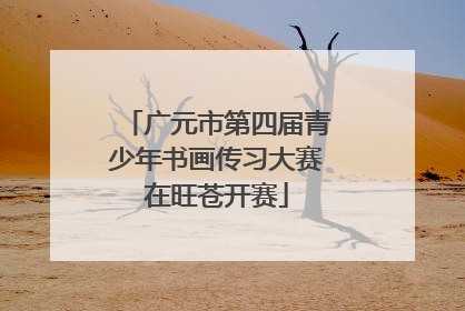 广元市第四届青少年书画传习大赛在旺苍开赛