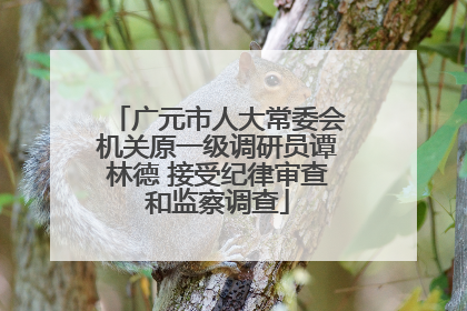 广元市人大常委会机关原一级调研员谭林德 接受纪律审查和监察调查