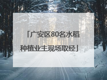 广安区80名水稻种植业主现场取经