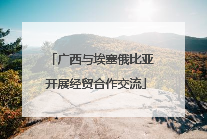 广西与埃塞俄比亚开展经贸合作交流