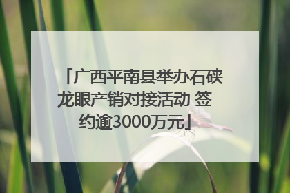 广西平南县举办石硖龙眼产销对接活动 签约逾3000万元