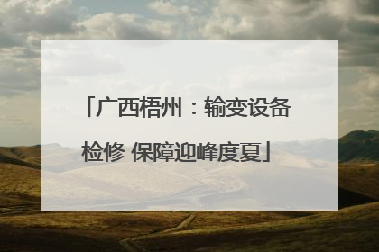 广西梧州：输变设备检修 保障迎峰度夏