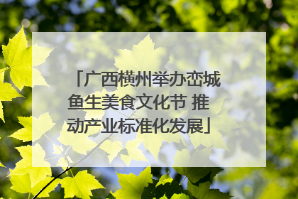 广西横州举办峦城鱼生美食文化节 推动产业标准化发展