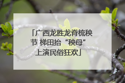 广西龙胜龙脊梳秧节 梯田抬“秧母”上演民俗狂欢