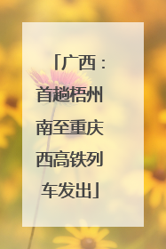 广西：首趟梧州南至重庆西高铁列车发出