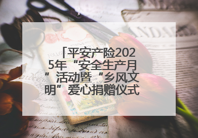 平安产险2025年“安全生产月”活动暨“乡风文明”爱心捐赠仪式在菏泽单县举行
