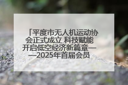 平度市无人机运动协会正式成立 科技赋能开启低空经济新篇章——2025年首届会员大会暨无人机应用发展论坛成功举办