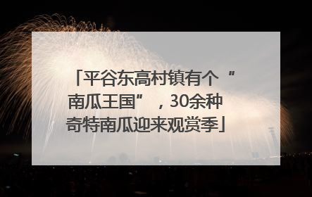 平谷东高村镇有个“南瓜王国”，30余种奇特南瓜迎来观赏季