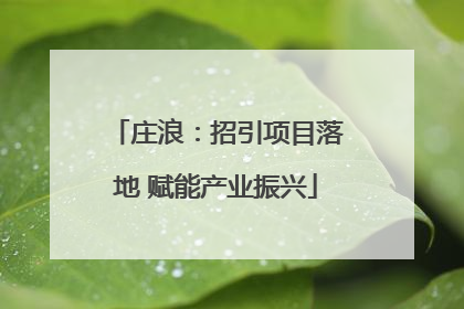 庄浪：招引项目落地 赋能产业振兴