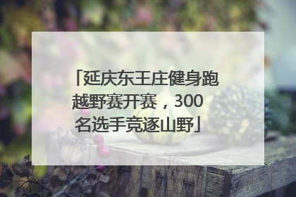 延庆东王庄健身跑越野赛开赛，300名选手竞逐山野