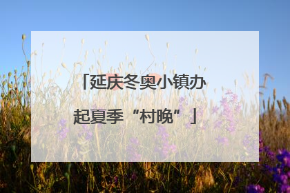 延庆冬奥小镇办起夏季“村晚”