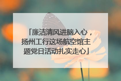 廉洁清风进脑入心，扬州工行这场航空馆主题党日活动扎实走心