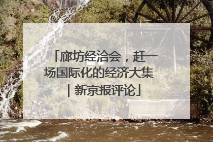 廊坊经洽会，赶一场国际化的经济大集｜新京报评论