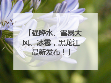 强降水、雷暴大风、冰雹，黑龙江最新发布！