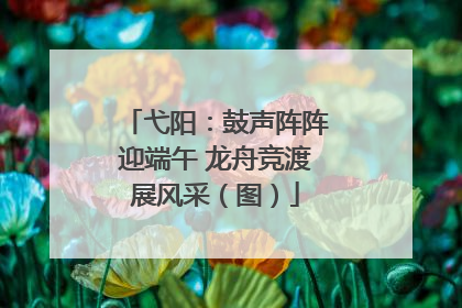 弋阳：鼓声阵阵迎端午 龙舟竞渡展风采（图）