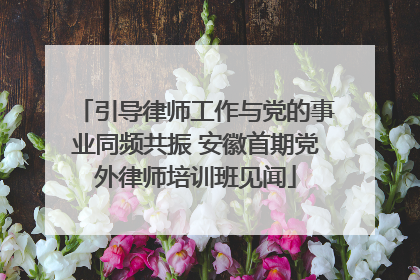 引导律师工作与党的事业同频共振 安徽首期党外律师培训班见闻