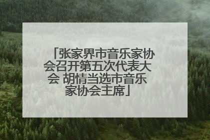 张家界市音乐家协会召开第五次代表大会 胡情当选市音乐家协会主席