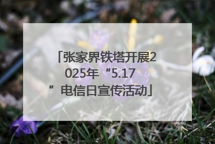 张家界铁塔开展2025年“5.17”电信日宣传活动