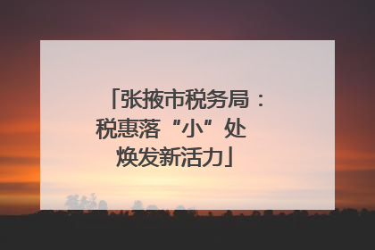 张掖市税务局：税惠落“小”处 焕发新活力