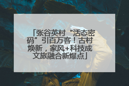 张谷英村“活态密码”引百万客！古村焕新，家风+科技成文旅融合新爆点
