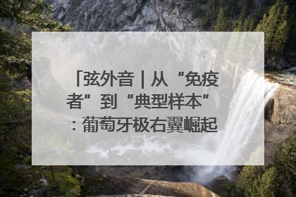 弦外音｜从“免疫者”到“典型样本”：葡萄牙极右翼崛起背后的欧洲困局