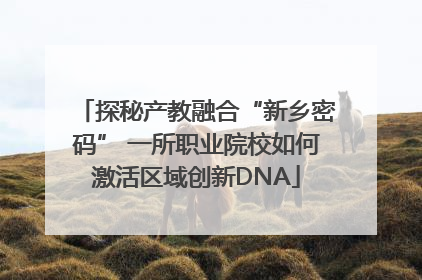 探秘产教融合“新乡密码” 一所职业院校如何激活区域创新DNA