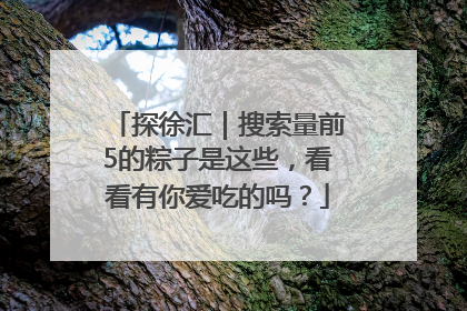 探徐汇｜搜索量前5的粽子是这些，看看有你爱吃的吗？