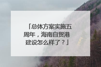 总体方案实施五周年，海南自贸港建设怎么样了？