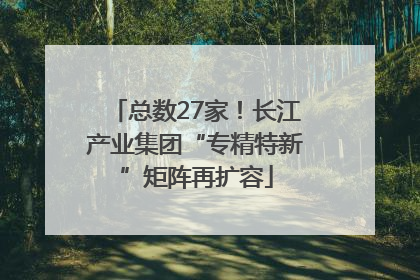 总数27家！长江产业集团“专精特新”矩阵再扩容