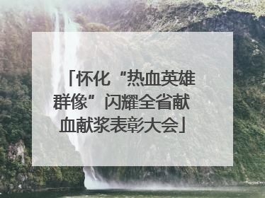 怀化“热血英雄群像”闪耀全省献血献浆表彰大会